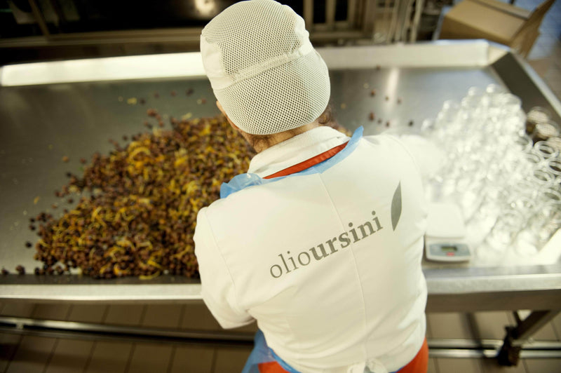 Ursini