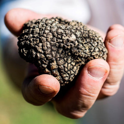 Everybody is Obsessed with All Things Truffles