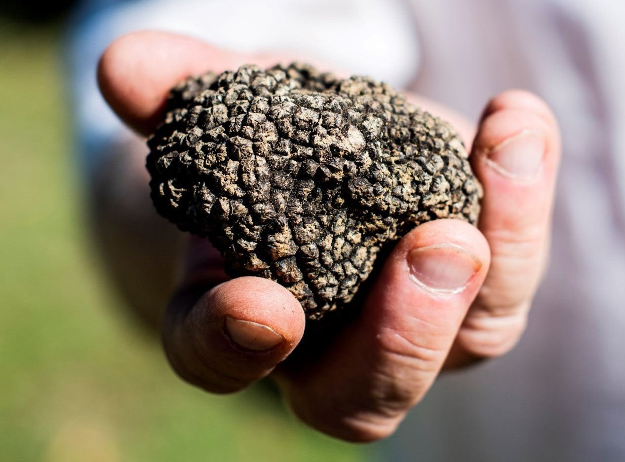 Everybody is Obsessed with All Things Truffles