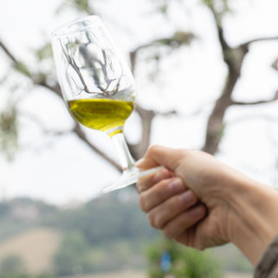 How to Taste Olive Oil Like An Expert: A Green Gold Tasting Guide