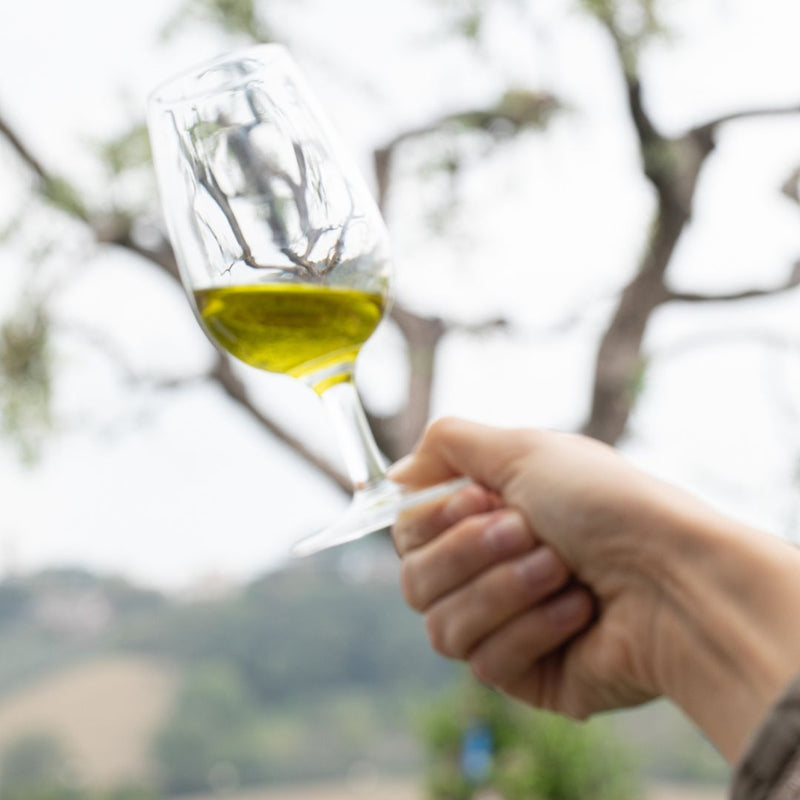 How to Taste Olive Oil Like An Expert: A Green Gold Tasting Guide