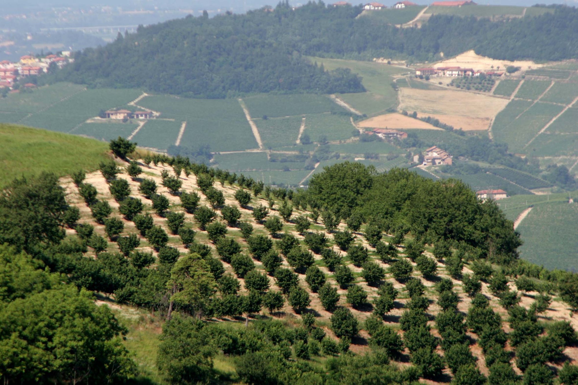 Hills in Umbria 