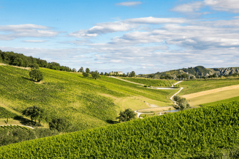Made in Emilia Romagna
