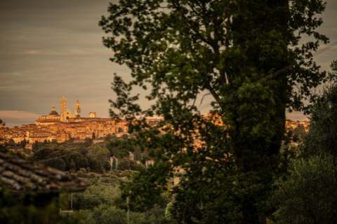 Made in Tuscany