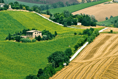 Made in Le Marche