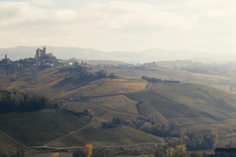 Made in Langhe