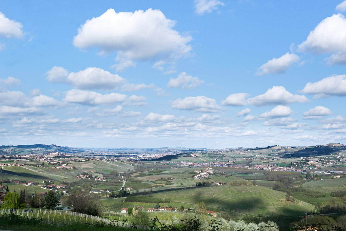Made in Piedmont